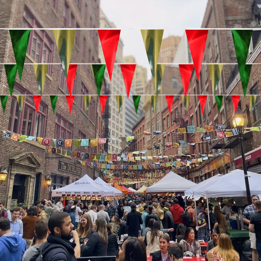 Metallic Pennant Strings