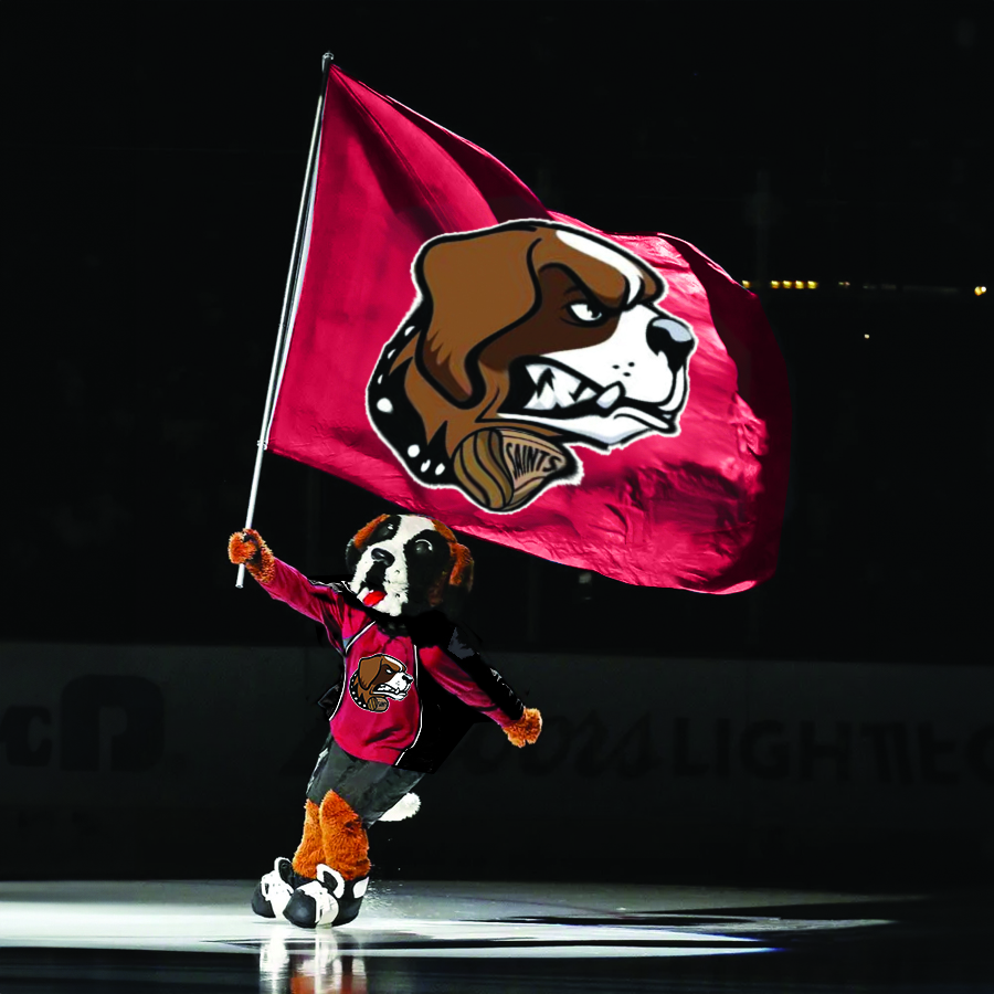 5x8 Custom Horizontal Flag - Single Sided