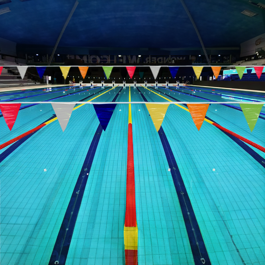 Case of 12in X 9in 2.4 Mil Super Economy Multicolor